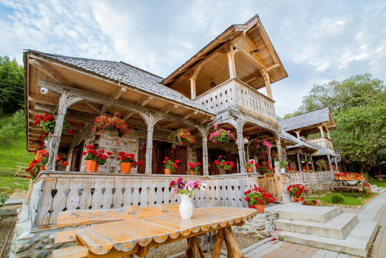 Отель Casutele Din Мойсей Экстерьер фото